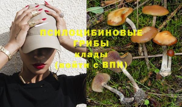 тгк Баксан