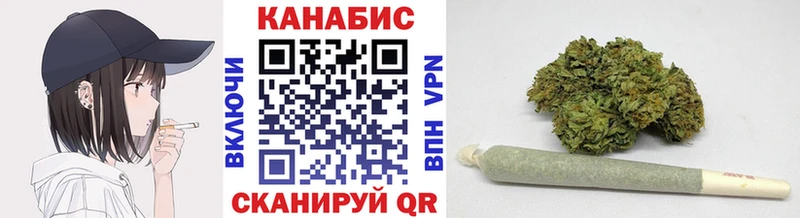 Бошки Шишки гибрид Красный Холм